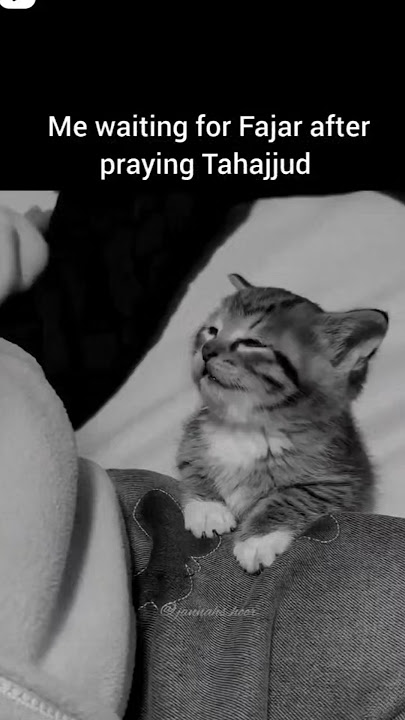 Har Manzil haasil ho jaayegi, Bas tum iraade Nek rakhna!