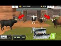 Selling Bulls – The Update We’ve Been Waiting For 🐂🔥 | Crazy Prices in Farming Simulator 18!!|#fs18 