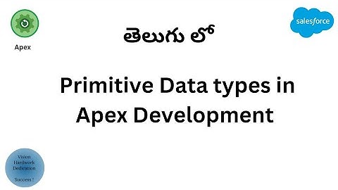 #4 Primitive Data Types in Apex Development  ||  Salesforce In Telugu