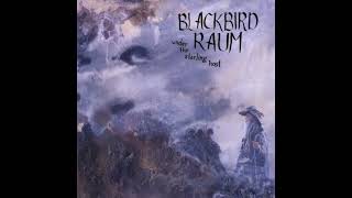 Watch Blackbird Raum Crumbs video