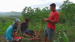 Details KLERU NYEBLEK'I BOKONG'E MOROTUO cerita kehidupan by GDC chanel@AMBS_official #video #viral #lucu Guide