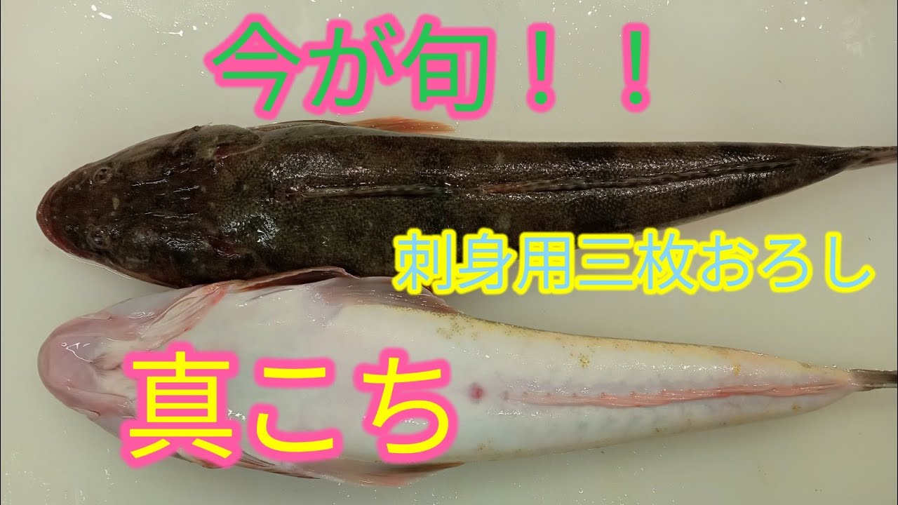 [魚の捌き方]真ゴチ三枚おろし！ - YouTube