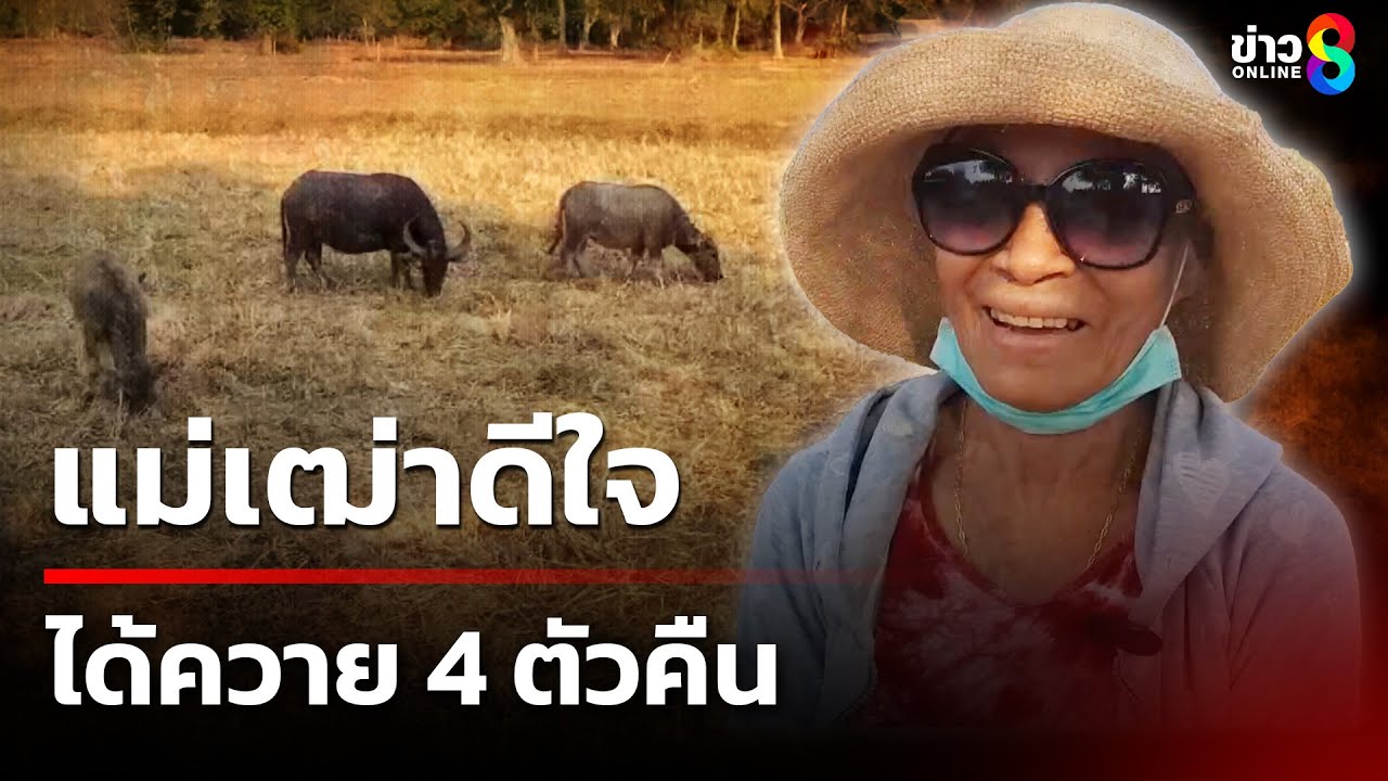 แม่เฒ่าดีใจ ได้ควาย 4 ตัวคืน  | 7 ก.พ. 68 | คุยข่าวเช้าช่อง8