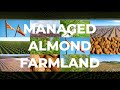 Fully managed almond farmlands in spain  agro invest spain