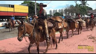 Saída do desfile de muares e momentos do dia 11 de abril no 1º Encontro de Comitivas de Goiás