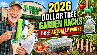 10 Dollar Tree Items That Experienced Gardeners Keep Hidden From Everyone Else 