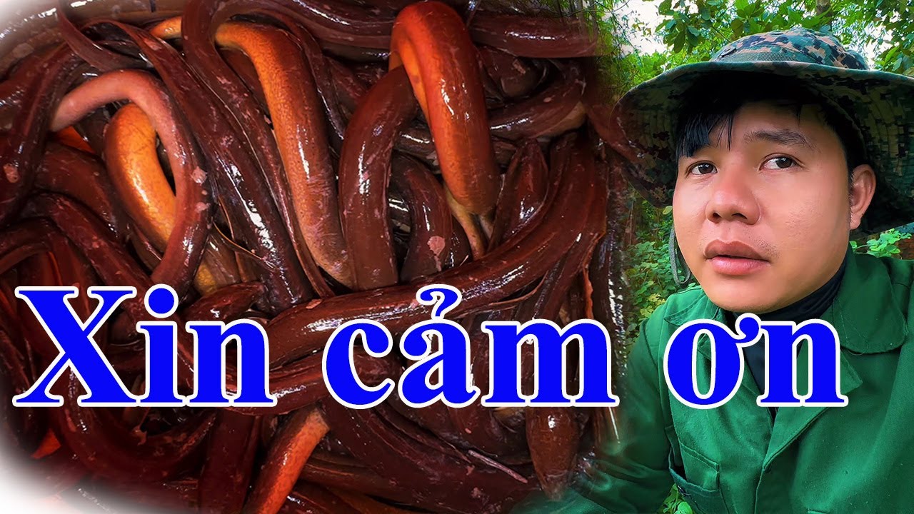 Xin chân thành cảm ơn cả nhà lần này Chanh lại trúng Lươn nữa