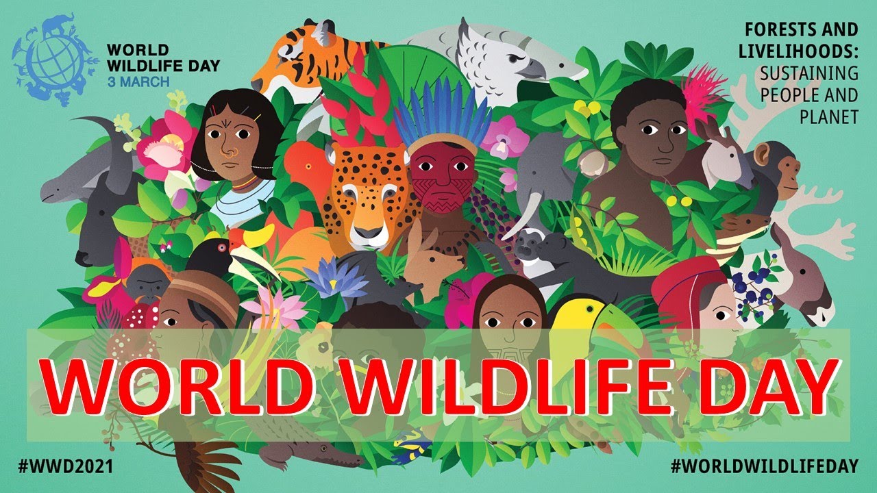 World Wildlife Day/3rd March 2022/Recovering key species for ecosystem