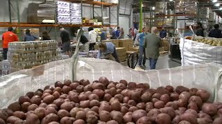 Food banks, schools could take hardest hit after USDA cuts