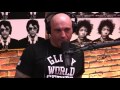 Joe Rogan asks Dan Peña "How does the UFC make it's money back?"