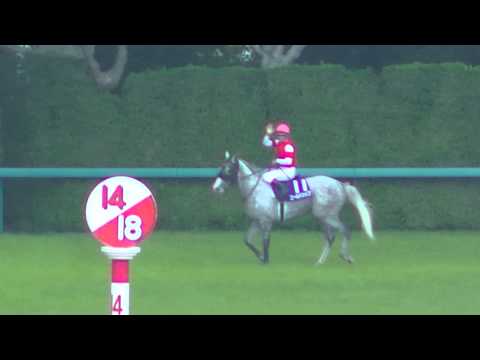 2014 June 29th 55th Takarazuka Kinen (GI) Winning Run Local Footage Gold Ship