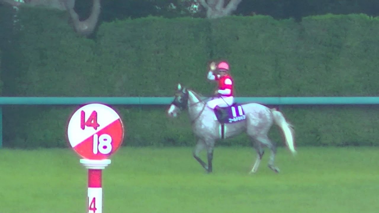 2014 6/29 第55回 宝塚記念(ＧＩ) ウィニングラン 現地映像 ゴールドシップ