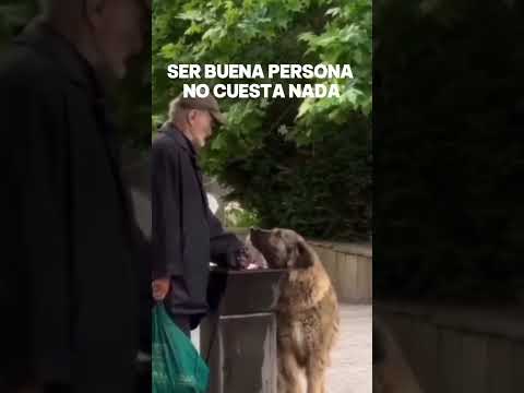 Este señor de buen corazón ayuda al perro