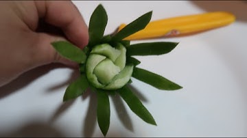Cách tỉa hoa từ bí đao xanh, cắt tỉa củ quả đơn giản dễ làm @mebaohan.official