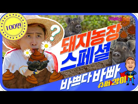 돼지우리