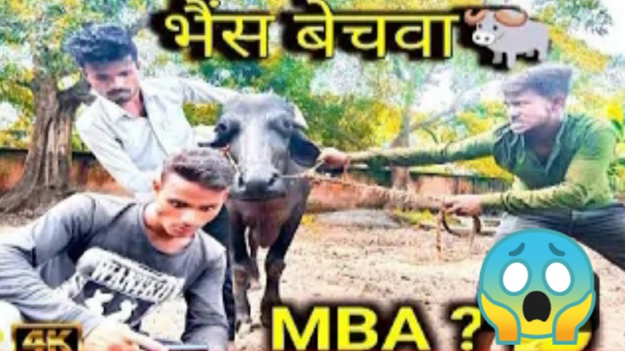 MBA? 😲 | FUNNY video 🤣|| Ranjan Yadav vines