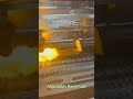Gondor Hog Dehairing Machine - Reliable Pig Dehairing Solution for Meat Processing #shortsvideo