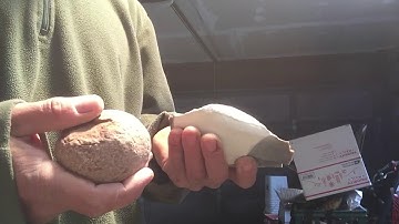 Georgetown cobble early hammerstone