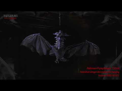 Video 1