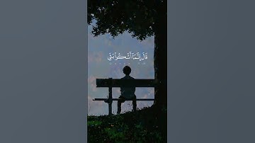 محمد ديبيروف | قال إنما أشكو بثي وحزني إلى الله #سورة_يوسف #تلاوات_قصيرة #قرآن #راحة_نفسية #قرآن