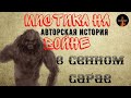 Мистика на Войне:В СЕННОМ САРАЕ (авторская история)