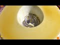 Pudim de leite condensado De geladeira
