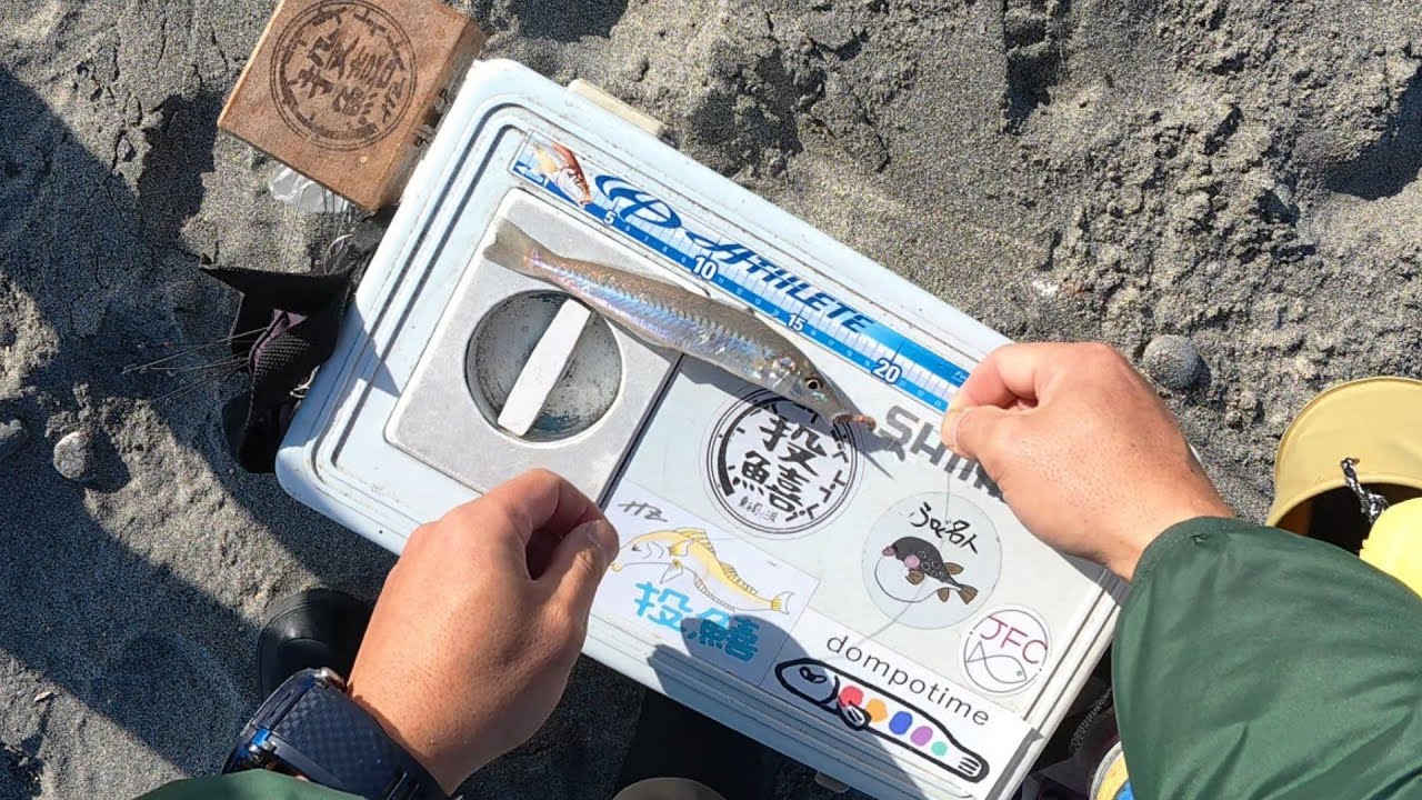 静岡サーフでキスの投げ釣り！