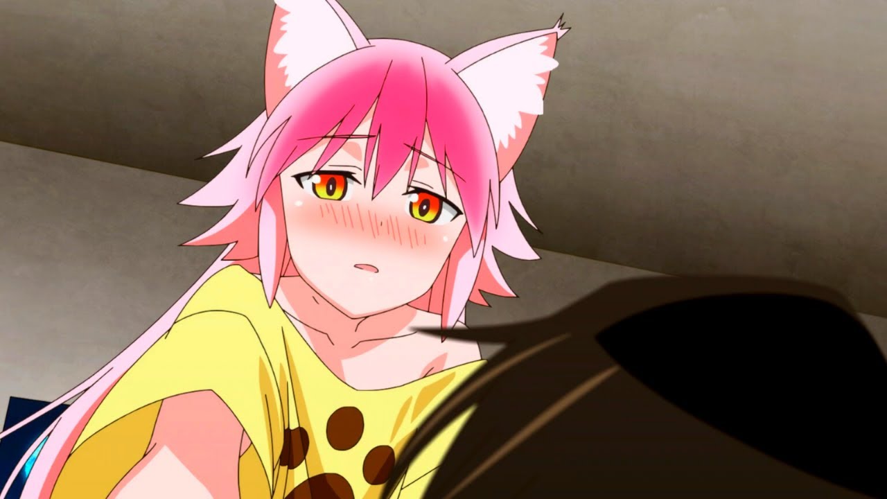 Garoto Humano Vai parar em Uma Escola de Animais e Uma Garota Lobo se APAIXONA por ELE!