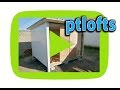 Pigeon loft time lapse  pombal pigeon viral