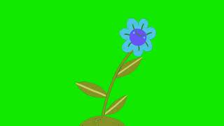 blooming happy flowers cartoon animated cartoon green screen video for youtubers.