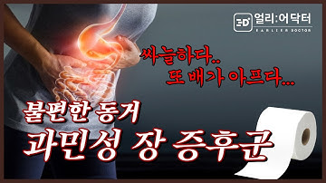 밖에만 나가면 찾아오는 복통! 과민성대장증후군을 의심해보자! / 원인과 치료까지