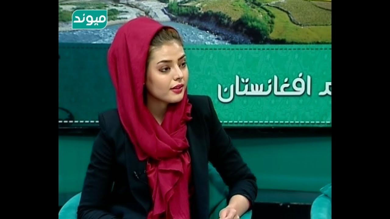 Dr Anwarul haq Jabar khil | نظر خانم وحیده همسر انورالحق جبارخیل در مورد هفت بار ازدواج