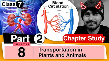 Chapter 8 | Transportation in Plants & Animals | Class 7 DAV Science | Chapter Study | (Part 2)