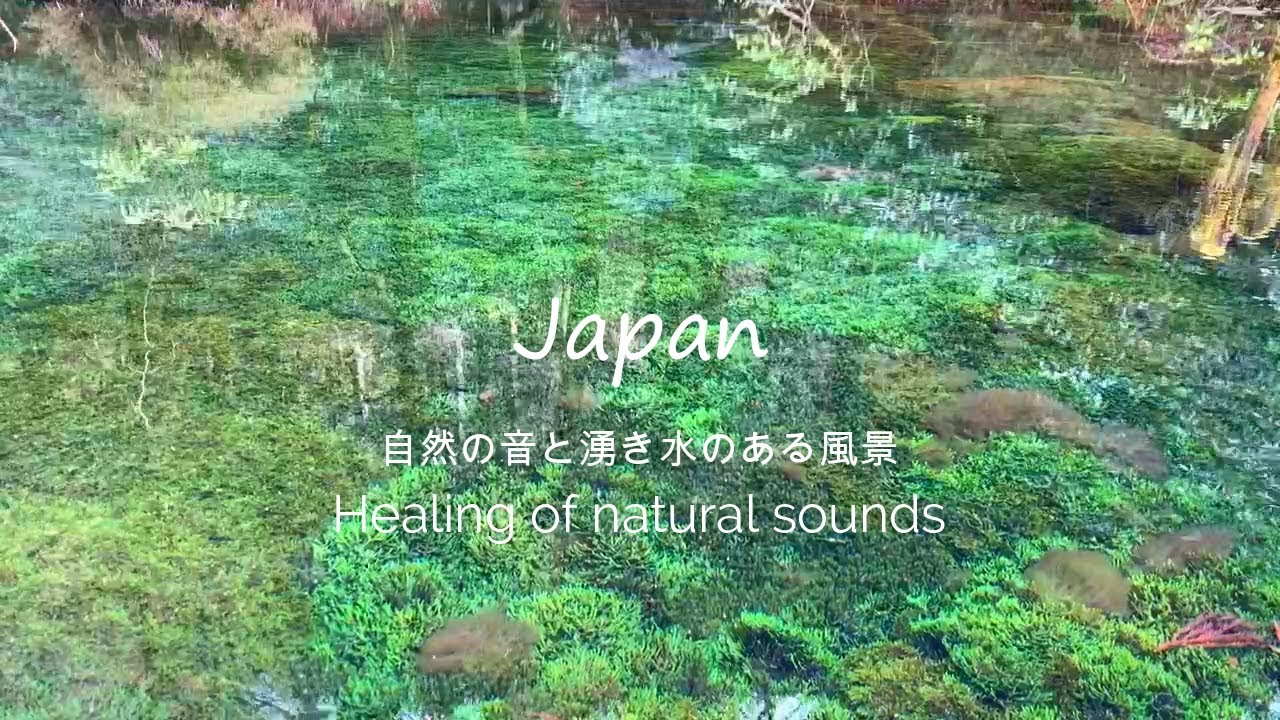 【自然の音】九州の風景 阿蘇の恵み池山水源 湧き水 癒し音/Ikeyama spring Kyushu/Natural healing