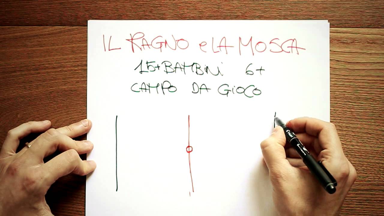 Giochi Di Movimento Per Bambini Il Ragno E La Mosca