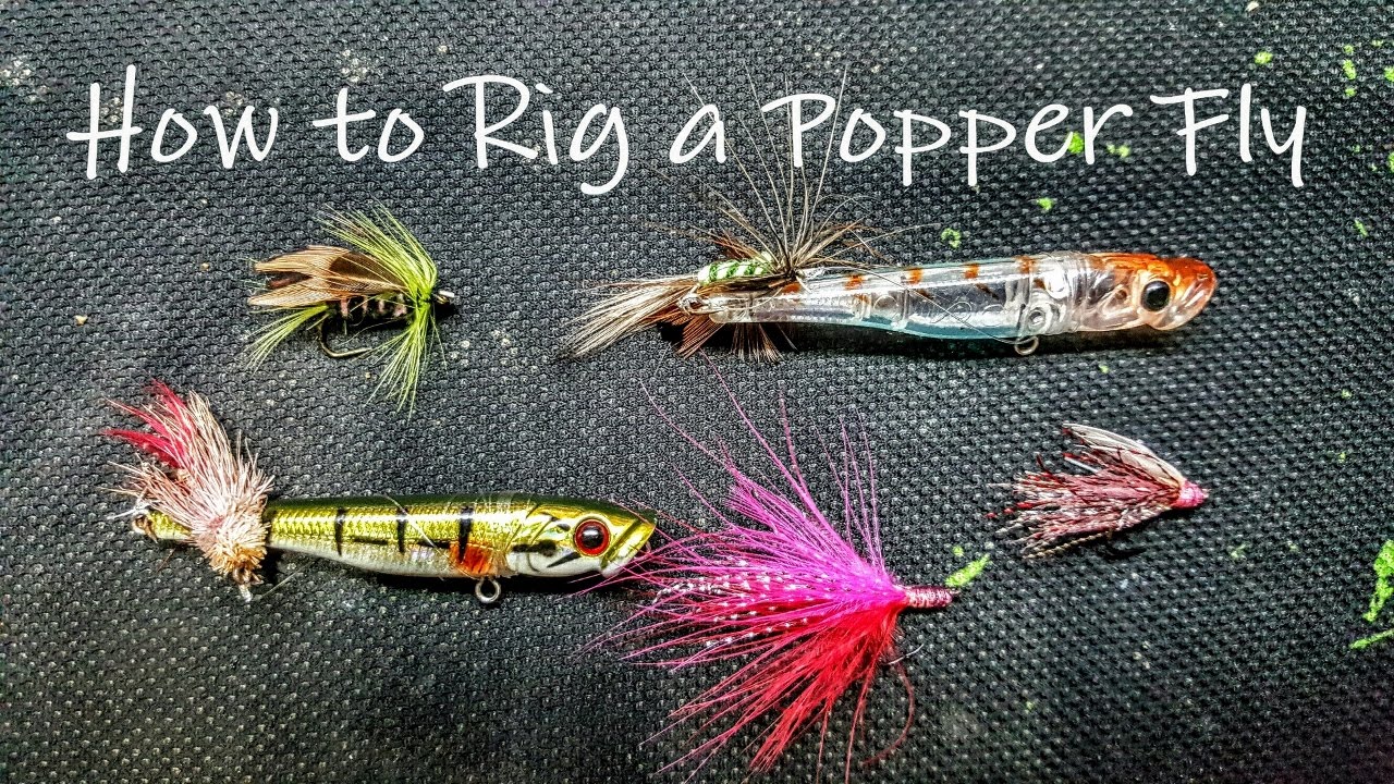 How to Rig a Popper Fly(for Spinning) 