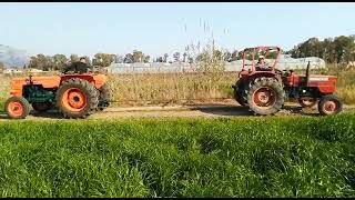 tiro a catena om 615