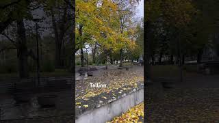 #осень #эстониярусские #дождь #атмосферноевидео  #эстониявлог #таллинвлог  #таллинн #жизньвэстонии