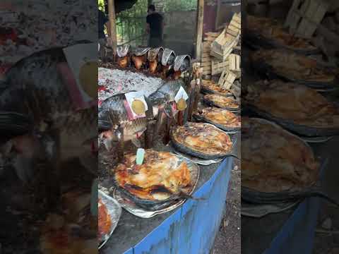 السمك المسكوف في بغداد      