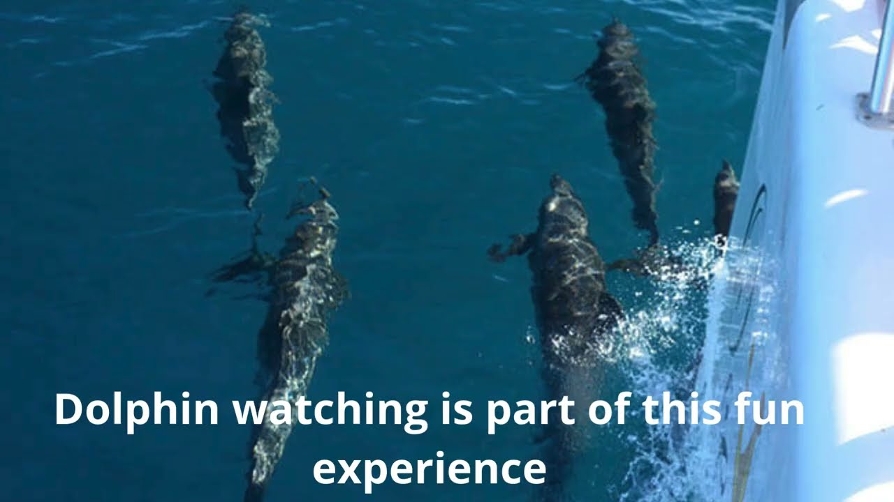 Catamaran Tours Tamarindo Costa Rica