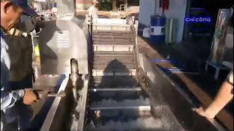 [CHICONG] Máy rửa cá, máy rửa cá dùng trong nhà máy, thiết bị chế biến cá fillet