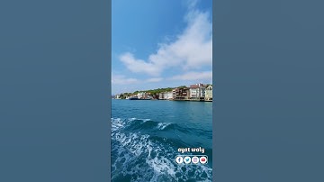 سورة الزمر #القران_الكريم #آلَقُرآنِ #راحة_نفسية