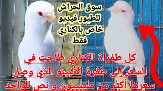 سوق الحراش للطيور ليوم الجمعة/ فيديو خاص بأسعار الكناري فقط/للأسف الشديد الكناري لم يعد يسوى شي ??؟