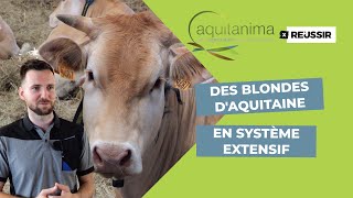 Salon de l’agriculture de Bordeaux : visite des blondes d'Aquitaine du lycée agricole de Dax