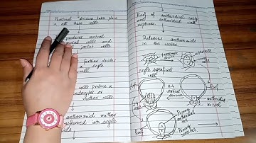 Botany-A: Complete Anthoceros in detail explain by The Pool of Science