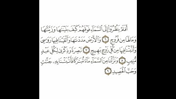 سورة ق 2 القسم الثاني تكرار كيفي من .. أفلم ينظروا إلى السماء .. إلى .. وحب الحصيد  #quran #قرآن