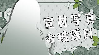 【お披露目】宣材写真大公開🐰🗞【ソフィア・ヴァレンタイン / にじさんじ】