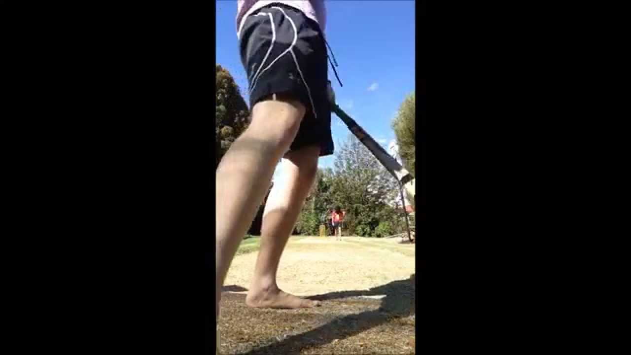 Stump Cam! (Gorilla vs Horse) - YouTube