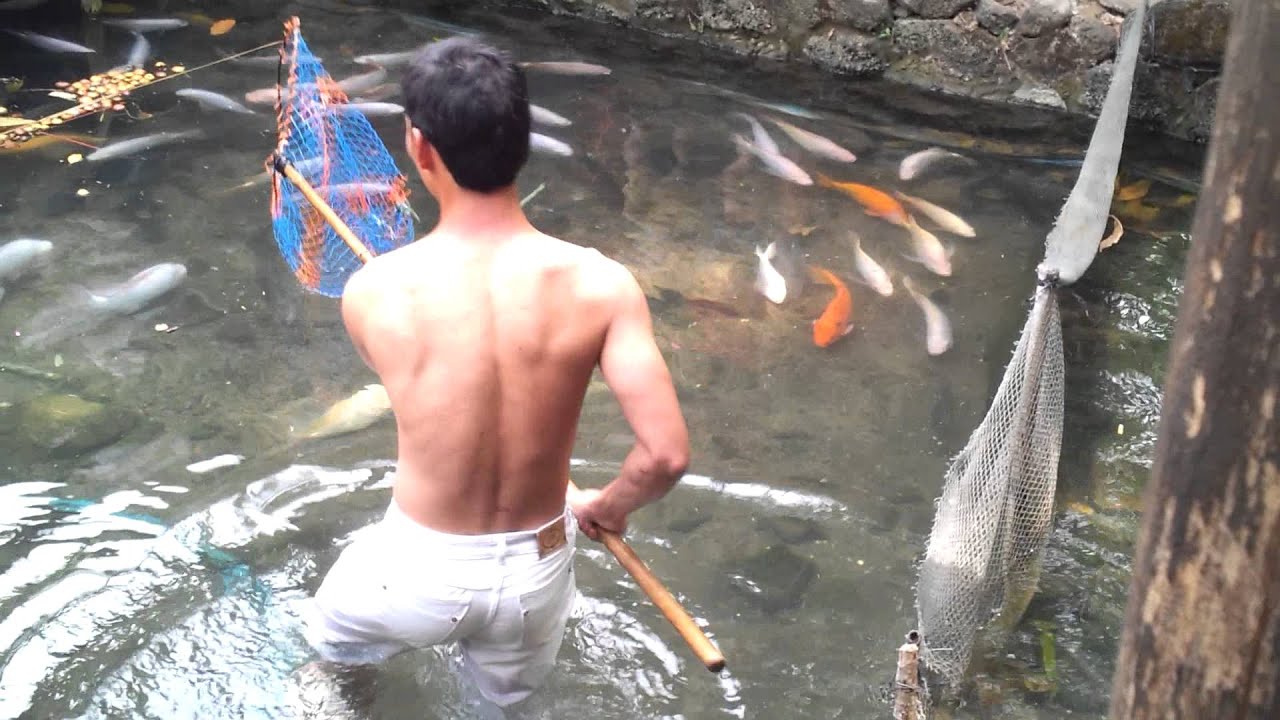 Bat ca o Suoi Mo,Dong Nai YouTube