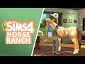 MORE HORSE RANCH FEATURES! fainting goats, customizable ceilings, horse trailer, unicorns???🐎🐐